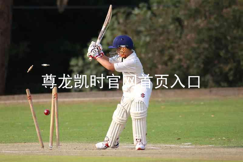 尊龙凯时官网首页入口
